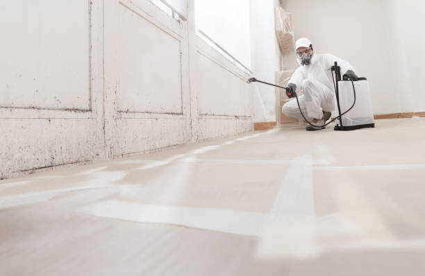 24/7 Emergency Attic Mold Removal experts in Germantown, IL
