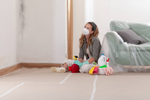 Reliable Attic Mold Removal contractor in Germantown, IL by WQB Mold Removal